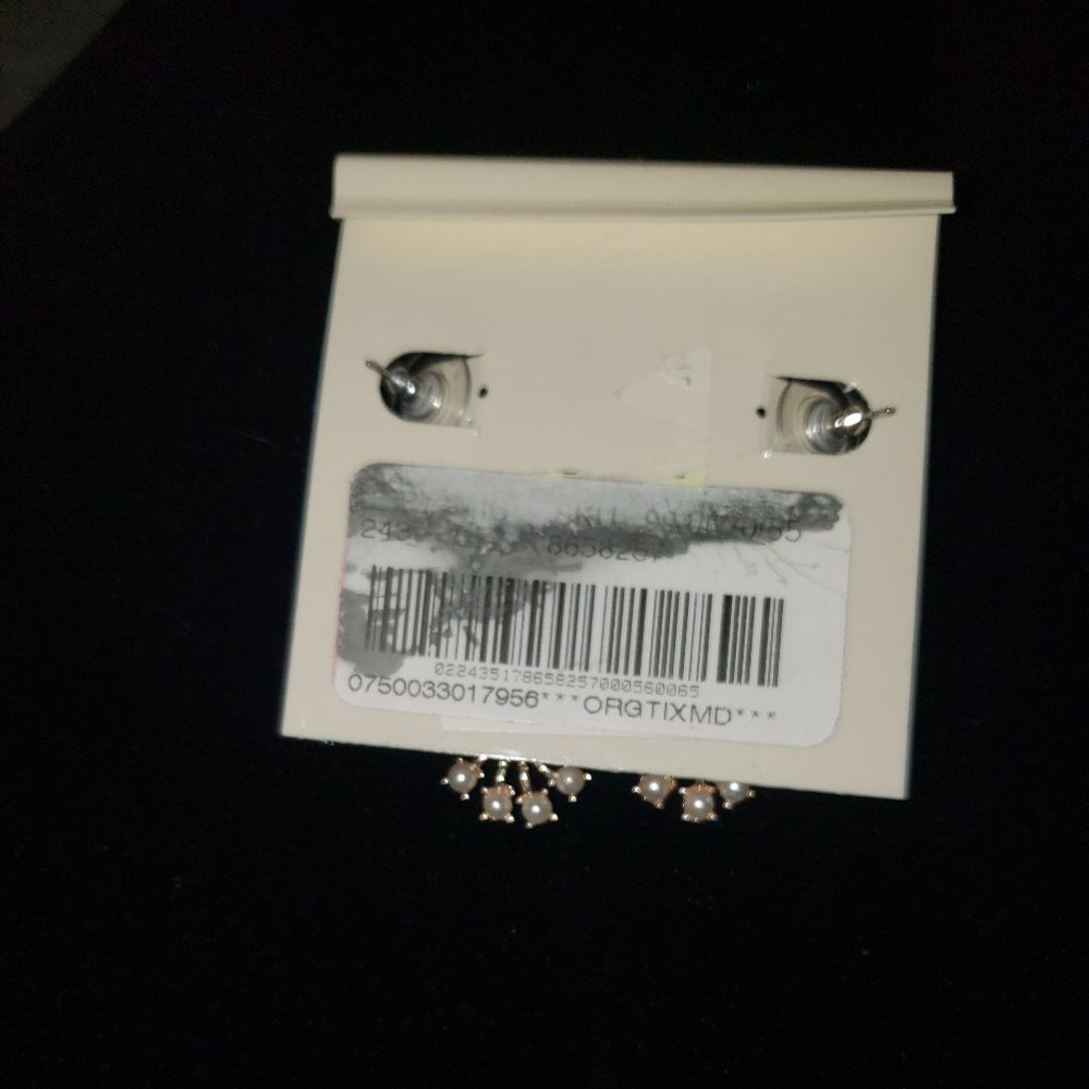 π«Host Pick π«π P& D Earrings*2 for $15 BUNDLE - Picture 4 of 5